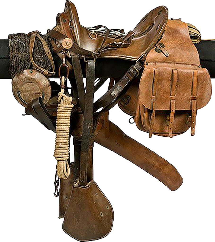 Cut out of a McClellan Cavalry Saddle