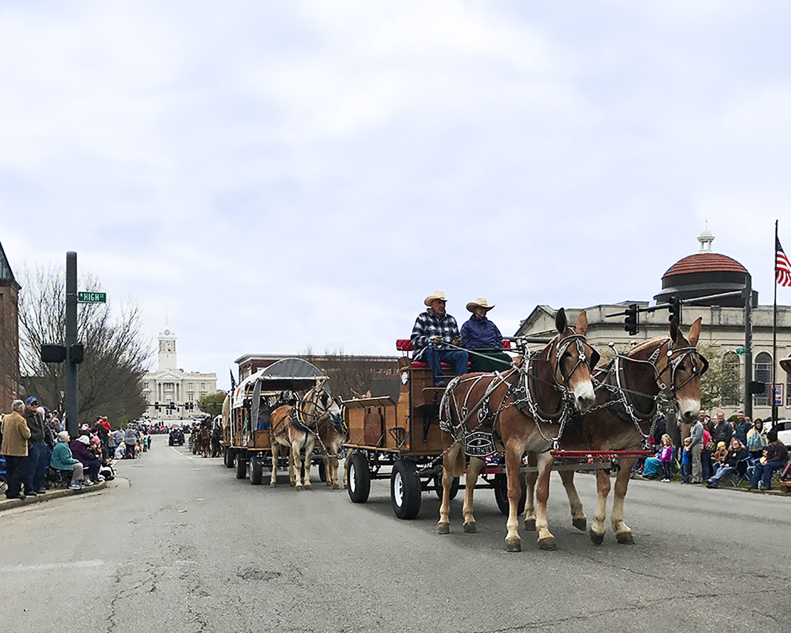 Two mules pulling a wagon down the street in Downtown Columbia TN during the 2017 Mule Day Parade.