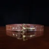 No. 5 Cinch Belt in brown American Alligator and brass buckle - front view