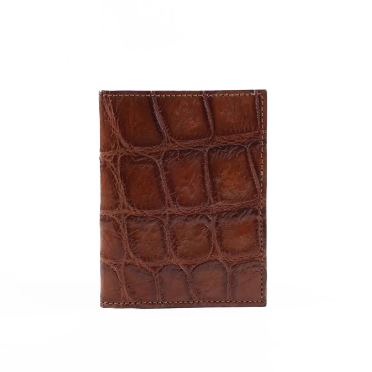 Vintage Brown American Alligator - ID 001 - front view