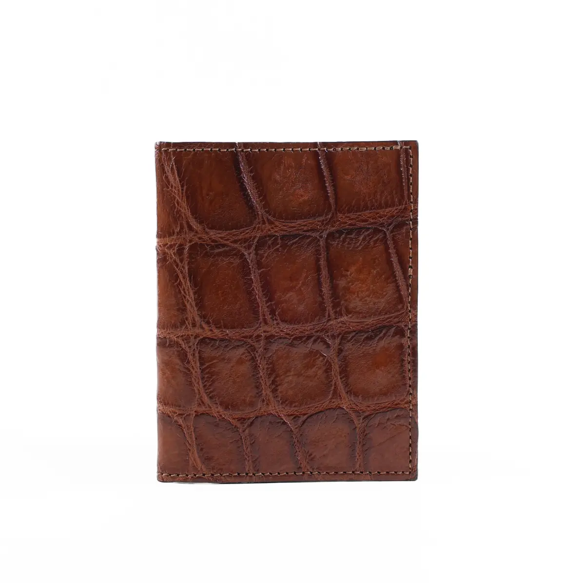 View larger image of Vintage Brown American Alligator - ID 001 - front view