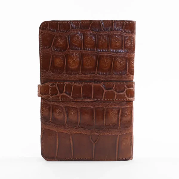 No. 20 Portfolio – American Alligator – 001