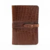 No. 20 Portfolio - American Alligator - 001