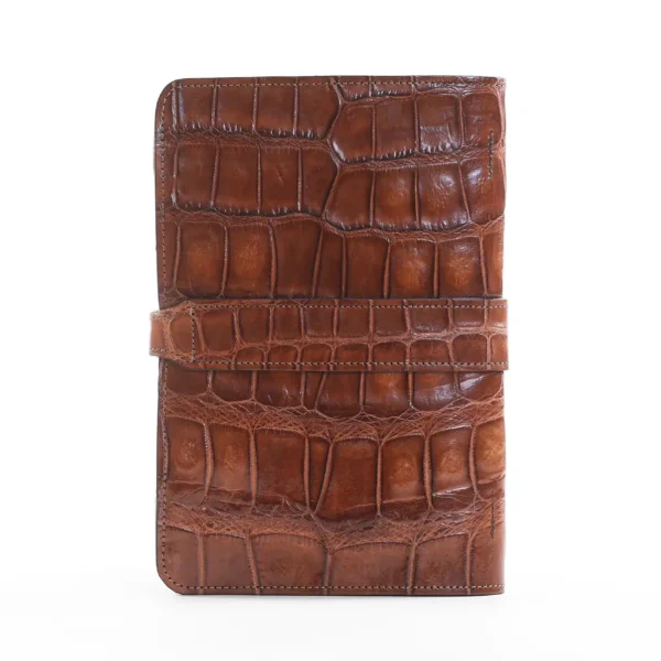 No. 20 Portfolio – American Alligator – 002