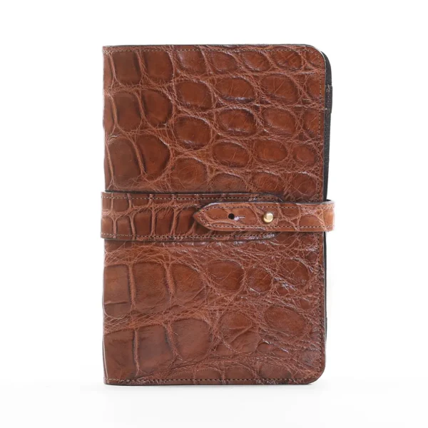 No. 20 Portfolio – American Alligator – 002