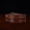 no 5 cinch belt in american alligator - size small- back view on a wood table and dark background - id 002