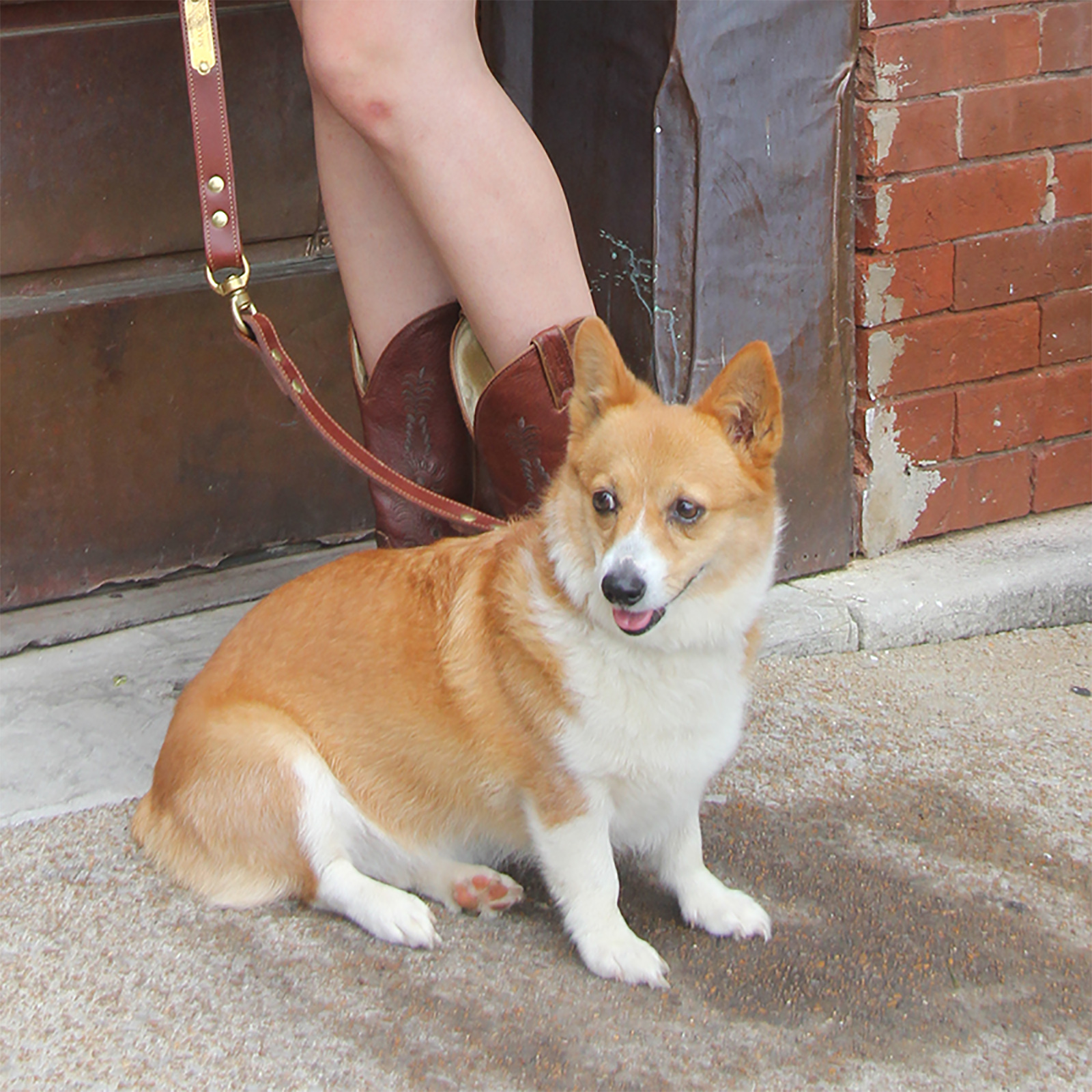 A corgi sitting on the ground on a leash next to a girl wearing cowboy boots