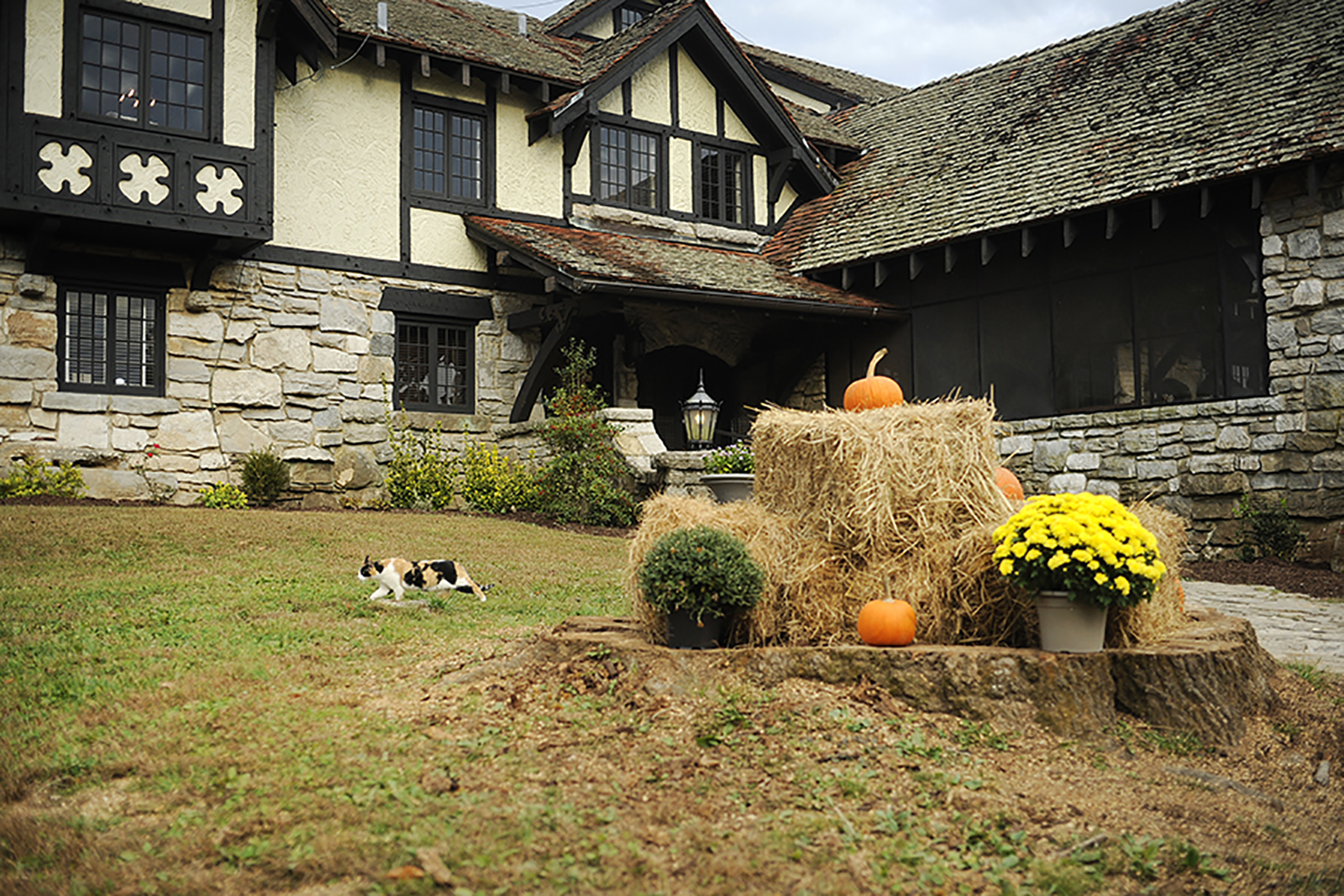 Milky Way manor house with hay bales and pumpkins in the foreground and a calico cat walking across the ground to the left.