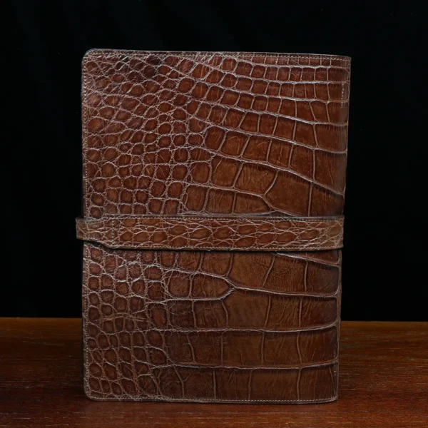 No. 18 American Alligator Portfolio – 001