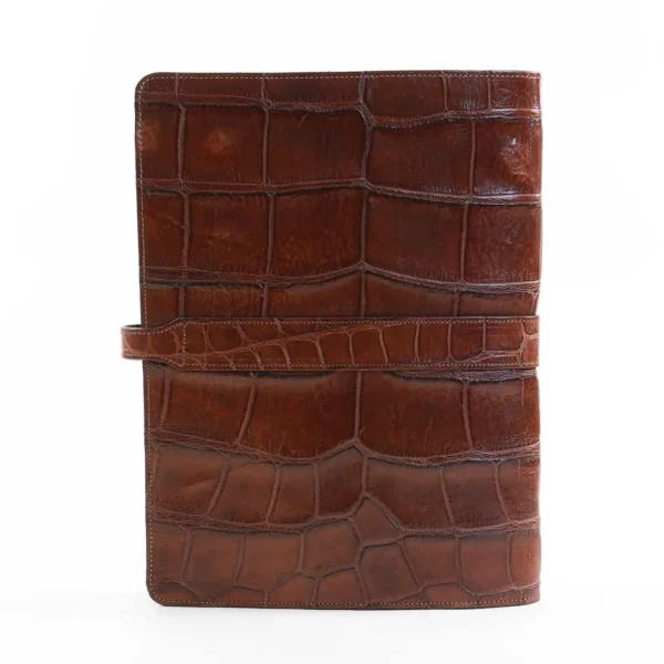 No. 18 American Alligator Portfolio – 001