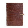 No. 18 American Alligator Portfolio - 001
