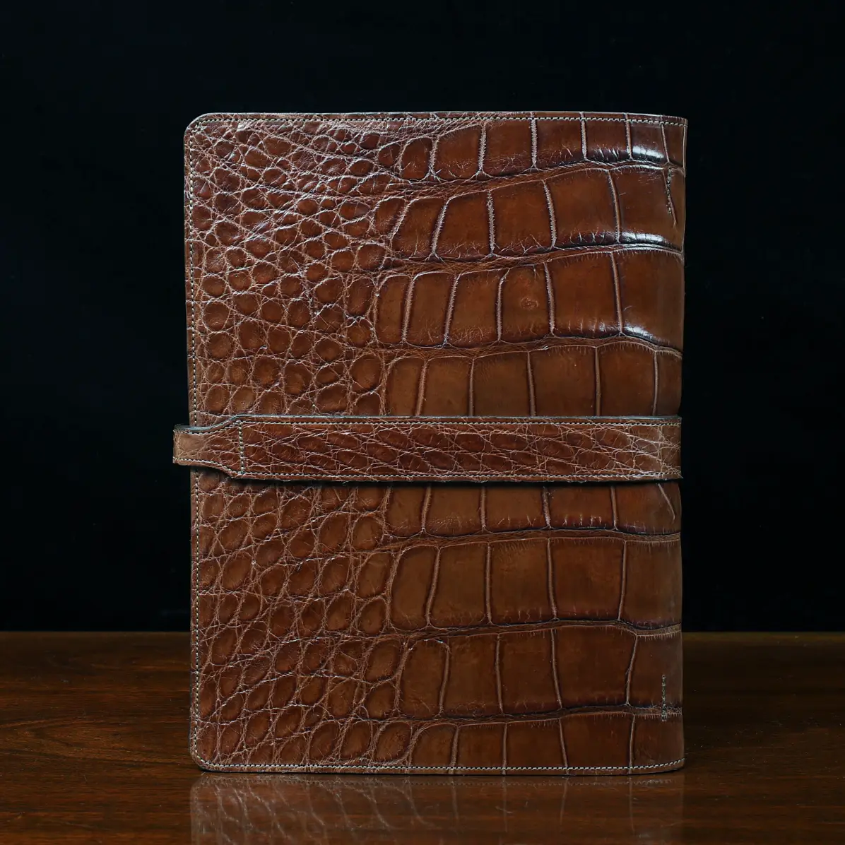 View larger image of No. 18 American Alligator Portfolio - 002 - No18 Portfolio Alligator 002 Back View