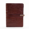 No. 18 American Alligator Portfolio - 002