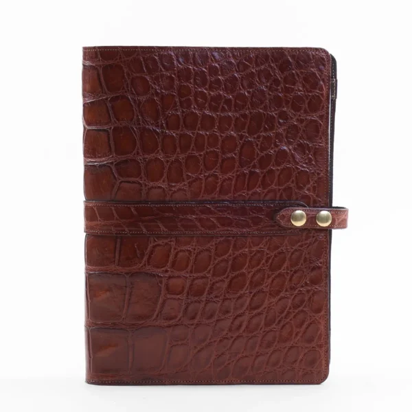 No. 18 American Alligator Portfolio – 002