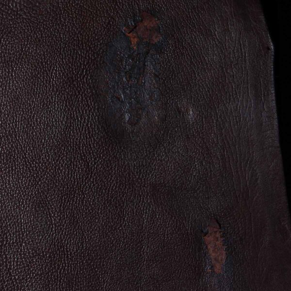 Rugged American Buffalo Leather Hide 002