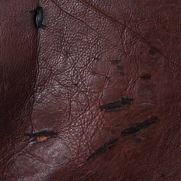 Rugged American Buffalo Leather Hide 003