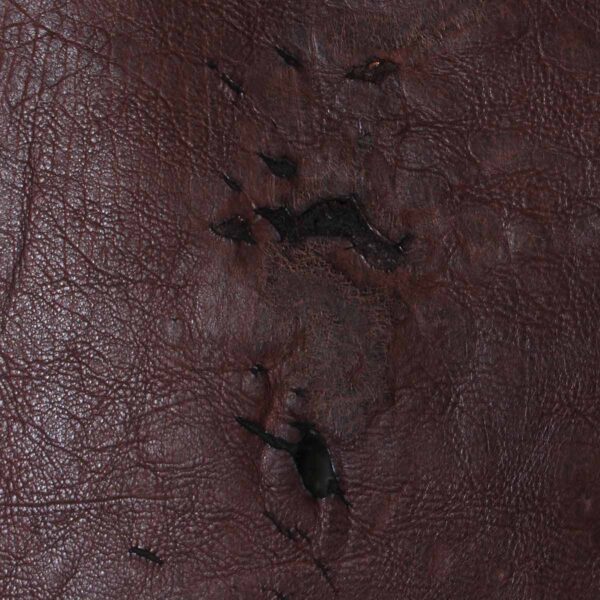 Rugged American Buffalo Leather Hide 003