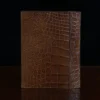 back view of the american alligator journal