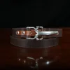 No. 5 Cinch Belt in Brown Leather with Stainless - front coiled view