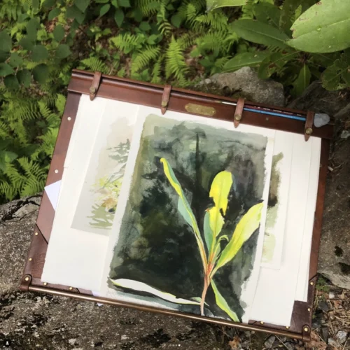 writing board in the woods with nature scene paintings