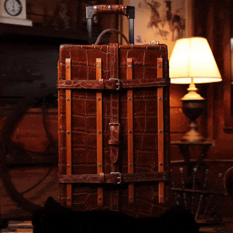a gif showing the the trunk rotating in a circle