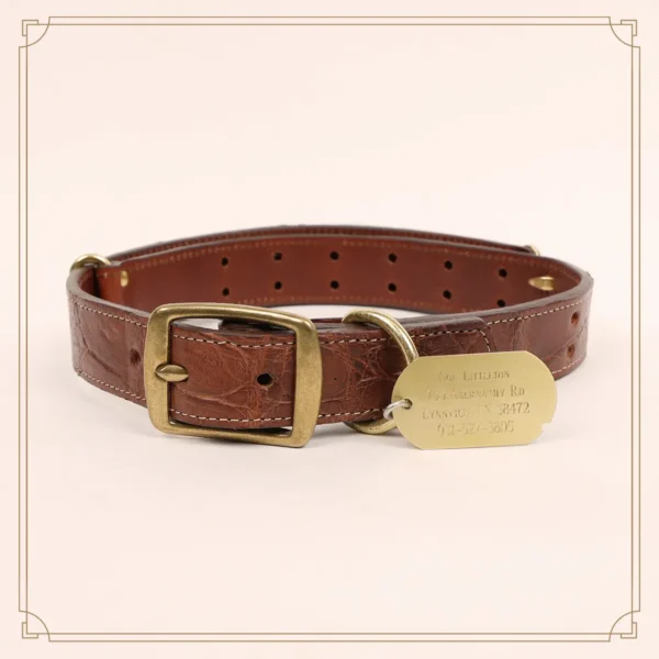 No. 1 Dog Collar – American Alligator