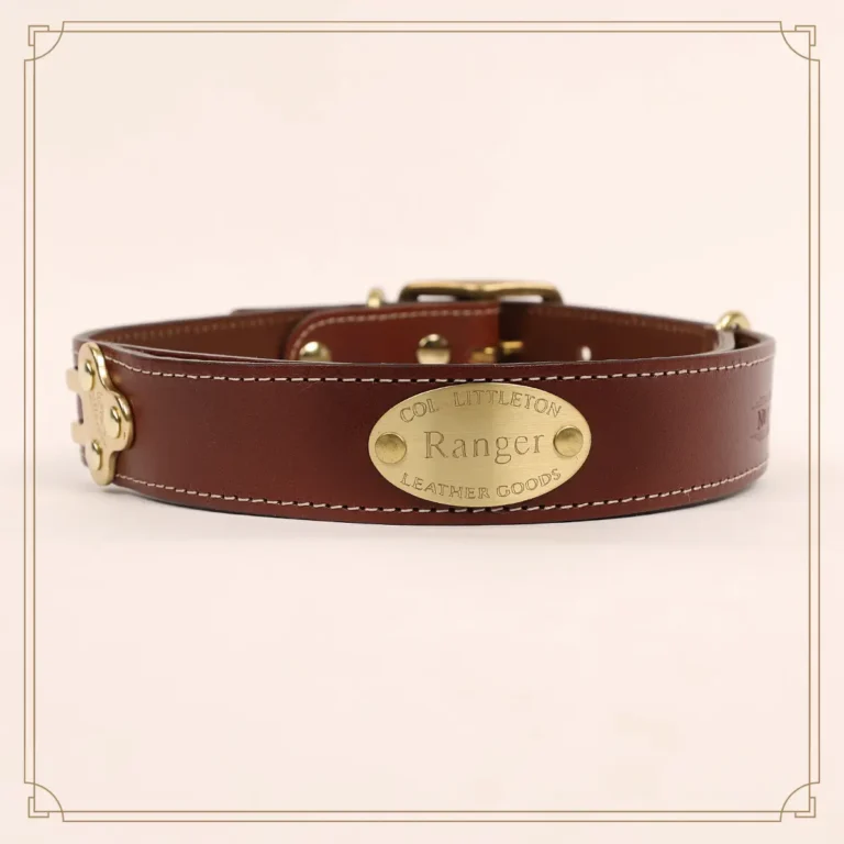 No. 1 Leather Dog collar in Italian bridle leather on a white background - showing the front view of the name plate