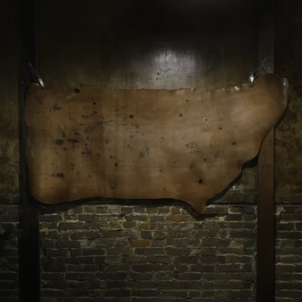 Rugged American Steer Hide – Private Stock